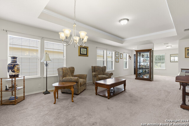 12907 Pronghorn Oak, San Antonio, Texas image 6