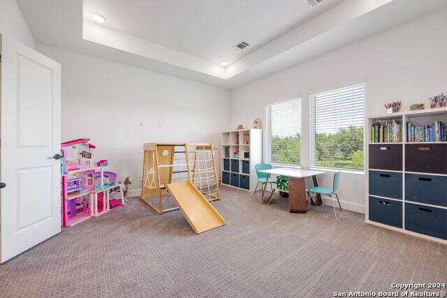 135 Bedford Drive, SPICEWOOD, Texas image 36