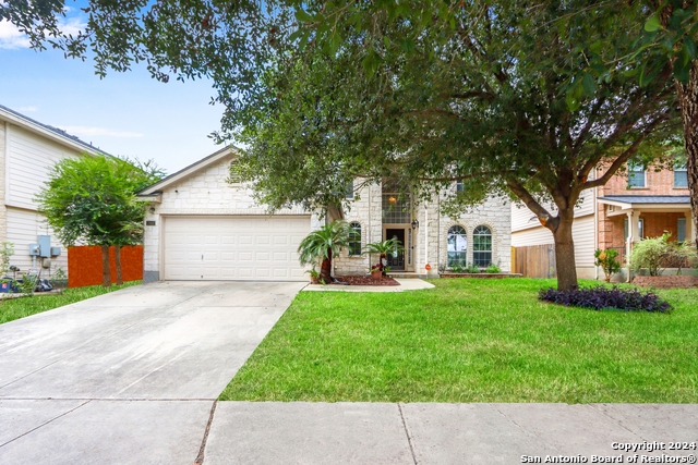 2460 Divine, New Braunfels, Texas image 1