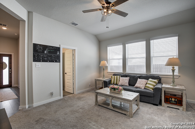 3160 Morlanga St, New Braunfels, Texas image 28