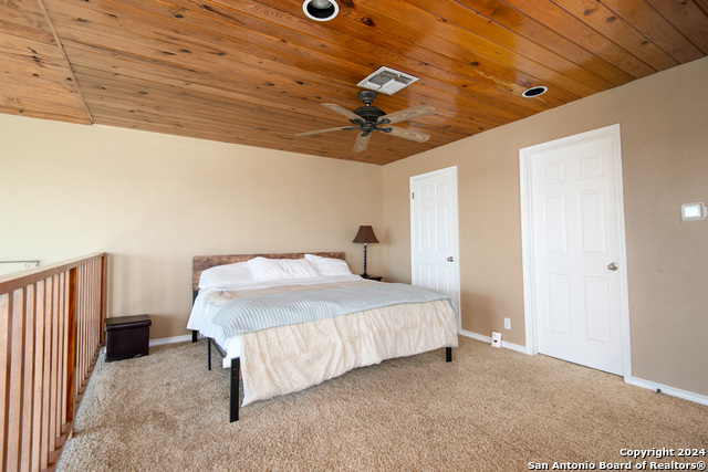 461 Naked Indian, New Braunfels, Texas image 13