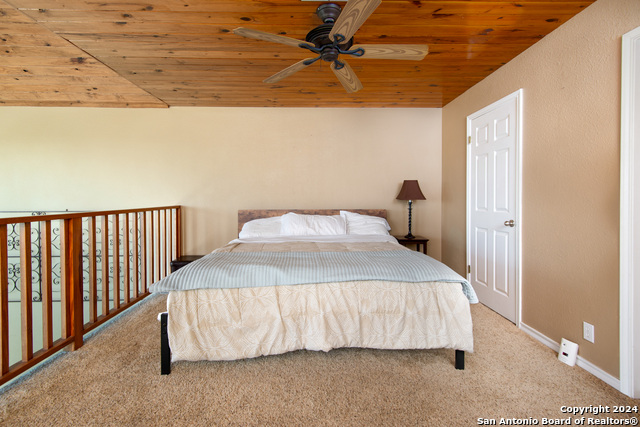 461 Naked Indian, New Braunfels, Texas image 14