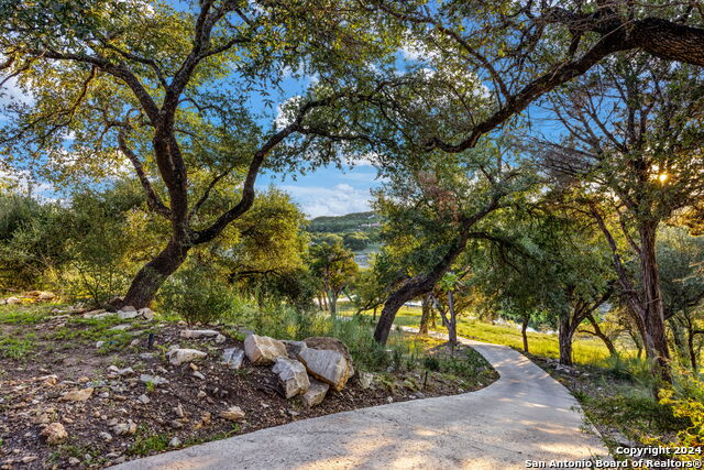 19907 Angel Bay Dr, SPICEWOOD, Texas image 35