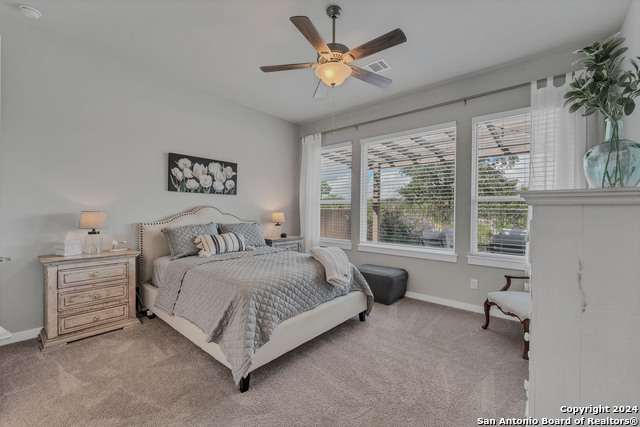 1326 Sahms Branch, New Braunfels, Texas image 19