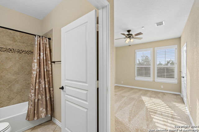 3925 Claret Cup, San Antonio, Texas image 32