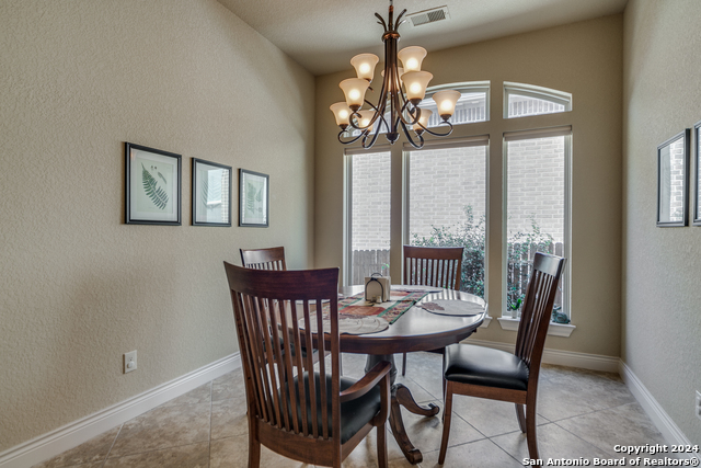 25911 Enchanted Dawn, San Antonio, Texas image 19