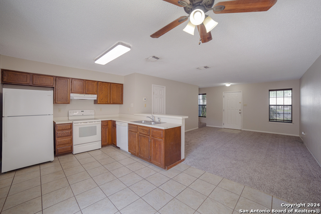 309 W Highland Dr, Boerne, Texas image 10