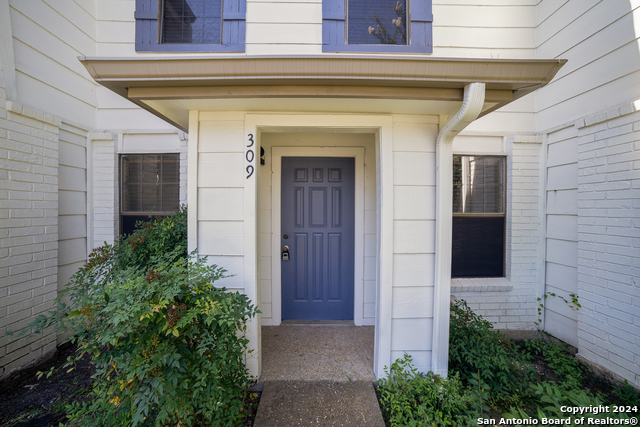 309 W Highland Dr, Boerne, Texas image 4