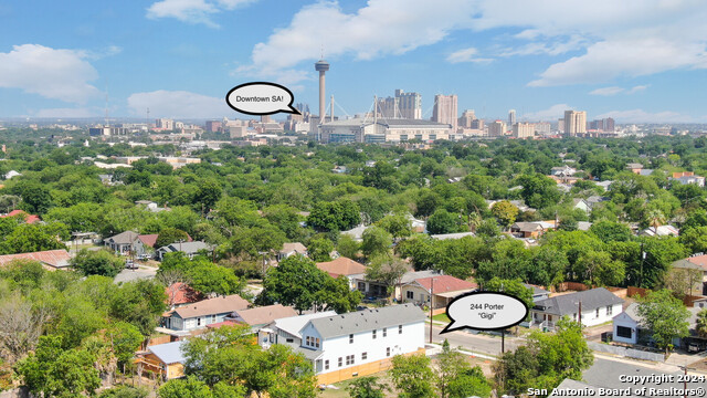 244 Porter St, San Antonio, Texas image 28