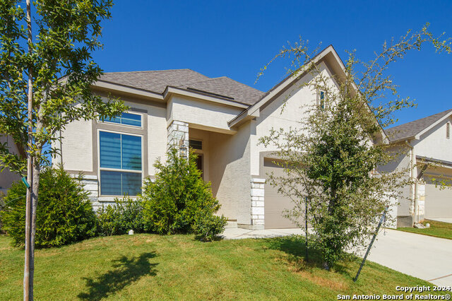 139 Bedingfeld, Shavano Park, Texas image 3