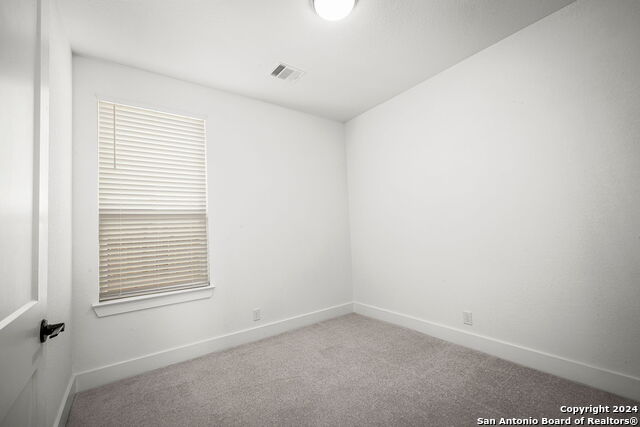 1829 Nettletree, New Braunfels, Texas image 25