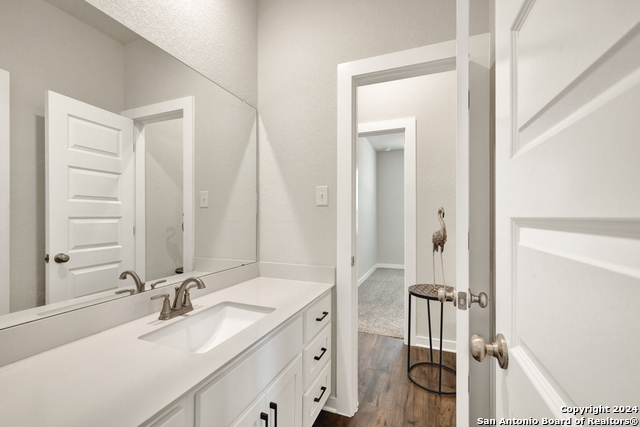 217 William Moon, San Marcos, Texas image 11