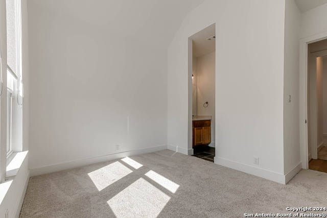 1915 Privet Road, New Braunfels, Texas image 13
