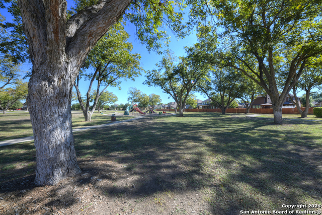 511 Pecan Forest, New Braunfels, Texas image 34