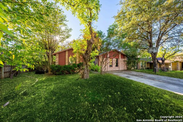 11415 Rousseau St, San Antonio, Texas image 5