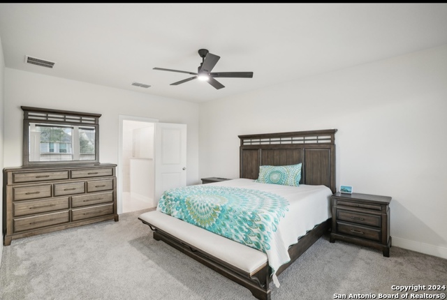 9603 Van Horn, San Antonio, Texas image 16