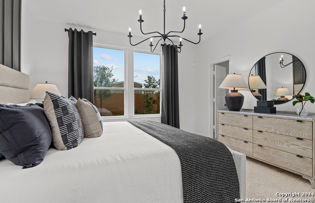 12038 Biznaga, San Antonio, Texas image 12