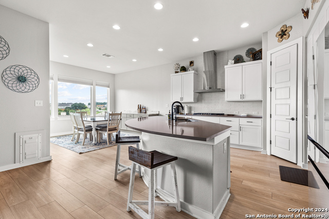 1624 Dirndl, New Braunfels, Texas image 21