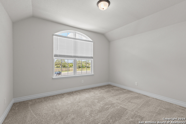 11503 Buffalo Bill, San Antonio, Texas image 8