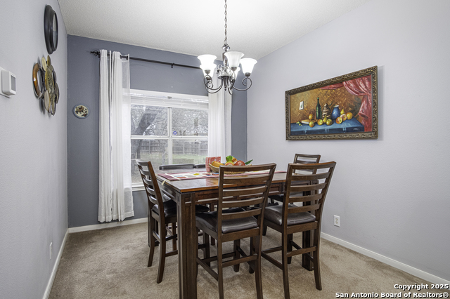 8307 Timber Grand, San Antonio, Texas image 6