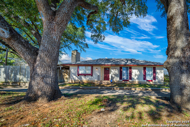 1305 G St, Floresville, Texas image 1