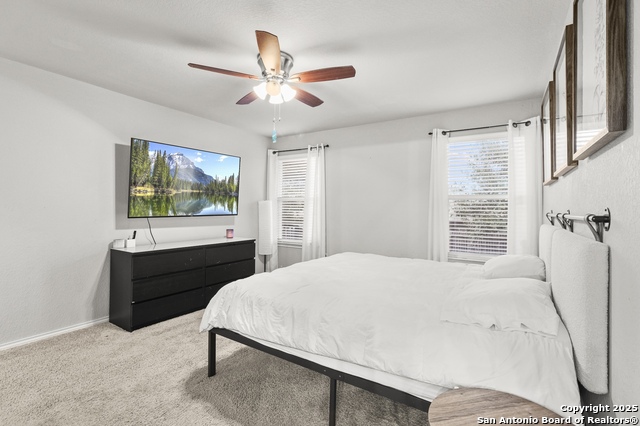739 Pelican Pt, San Antonio, Texas image 23