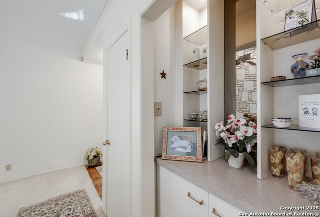 8539 Echo Creek, San Antonio, Texas image 6