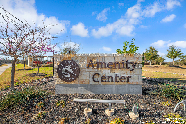 12603 Silver Gate, San Antonio, Texas image 3