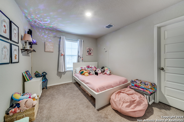 2421 Ayers Dr, Seguin, Texas image 19