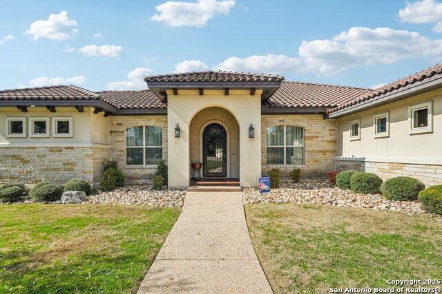 1253 Via Principale, New Braunfels, Texas image 3