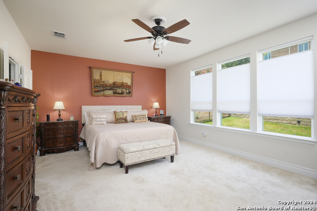 12807 Tower Bridge, San Antonio, Texas image 12