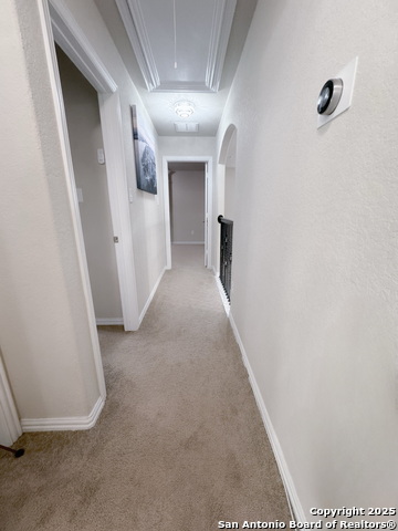 12946 Cedarcreek Trl, San Antonio, Texas image 21