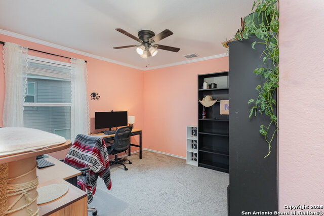15323 Brown Violetear, San Antonio, Texas image 17