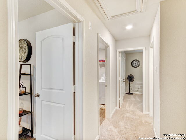 11808 Wolf Cyn, San Antonio, Texas image 15