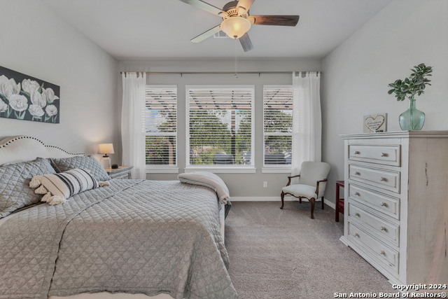 1326 Sahms Branch, New Braunfels, Texas image 16