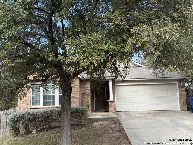 8939 Veranda Court, San Antonio, Texas image 2