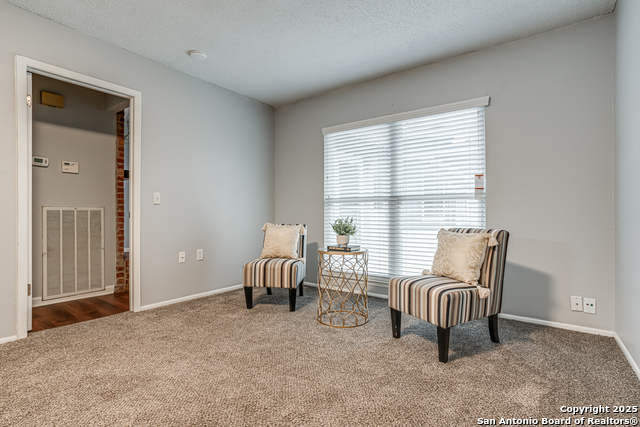 6311 Barton Mill, San Antonio, Texas image 18