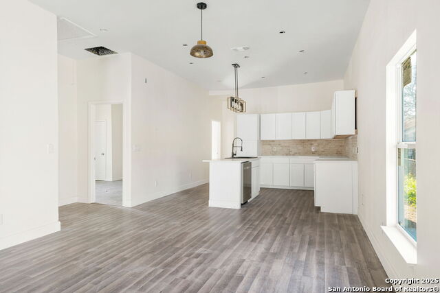 310 Vine, San Antonio, Texas image 13