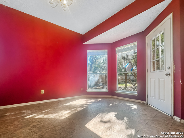 620 Cactus Flower, San Antonio, Texas image 6
