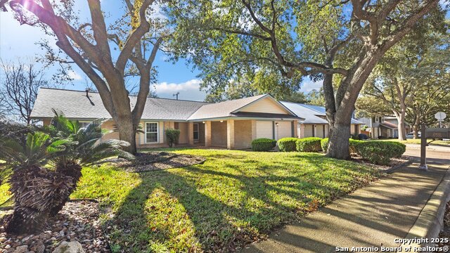 2902 Oak Leigh St, San Antonio, Texas image 10