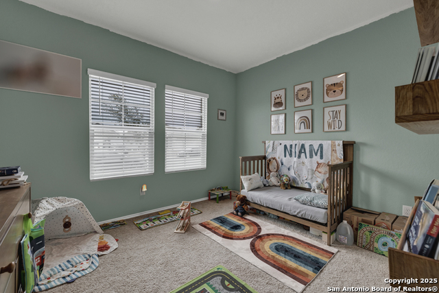 848 Cinnamon Teal, Seguin, Texas image 15