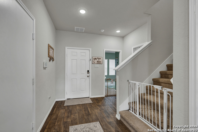 848 Cinnamon Teal, Seguin, Texas image 4