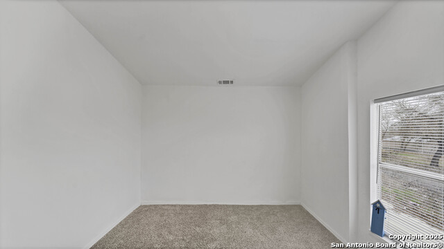4207 Waterwood Pass, Elmendorf, Texas image 31