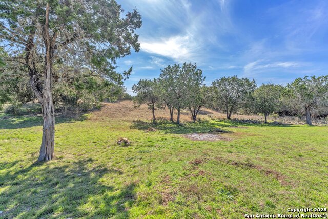 337 Mills Lane, Pipe Creek, Texas image 43