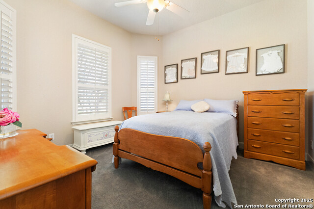 436 Hidden Springs, Spring Branch, Texas image 26