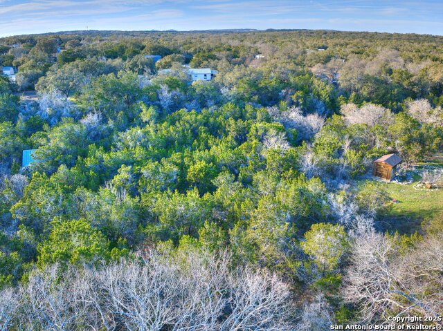691 Turkey Canyon, Spring Branch, Texas image 45