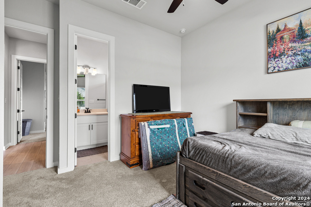 1624 Dirndl, New Braunfels, Texas image 6