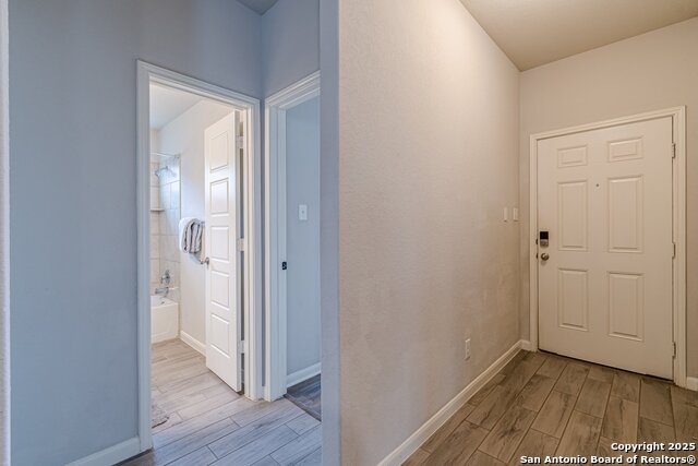 918 Pumpkin, New Braunfels, Texas image 6