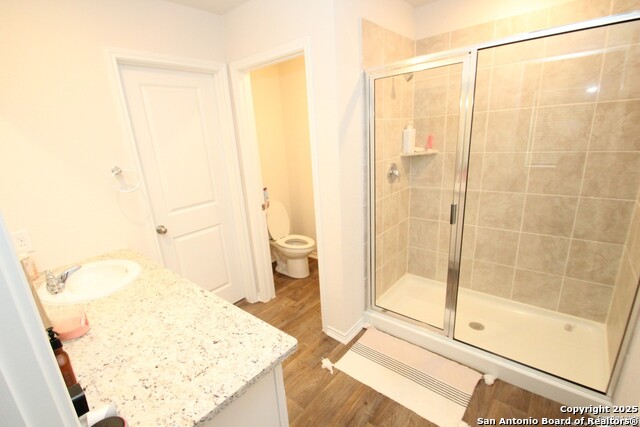 13923 Borolanite, San Antonio, Texas image 19
