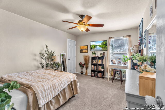 6414 Oldham Cv, San Antonio, Texas image 31